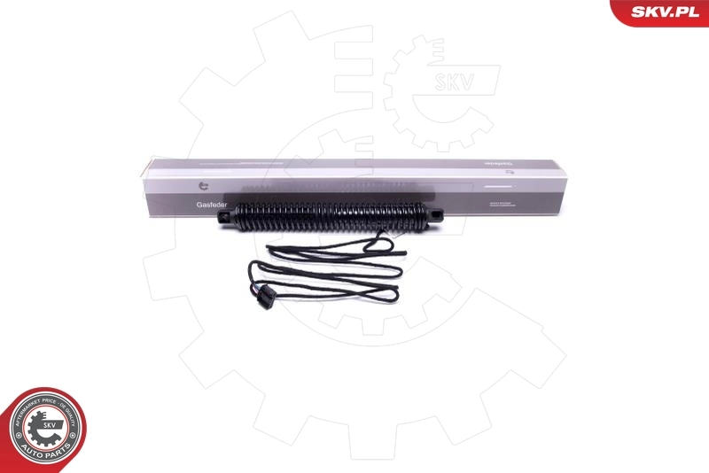 Electric Motor, tailgate
